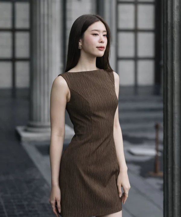 Short Brown Pleated Dress