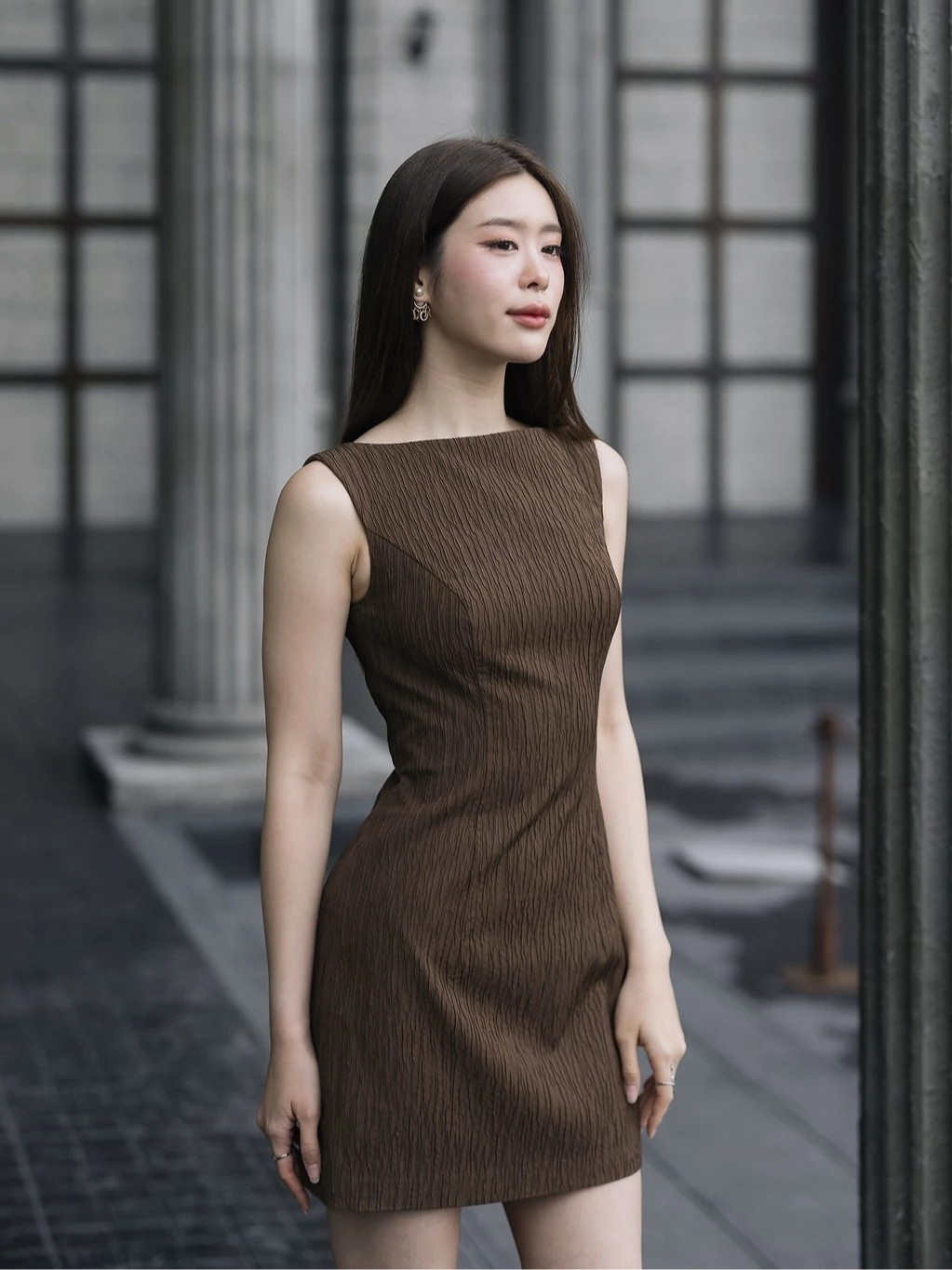 Short Brown Pleated Dress